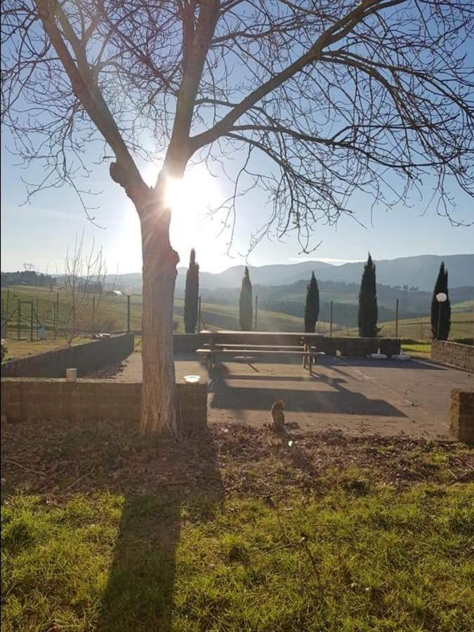 Agriturismo La Valle Della Lavanda - Podere Mezzastrada Fauglia Exterior foto